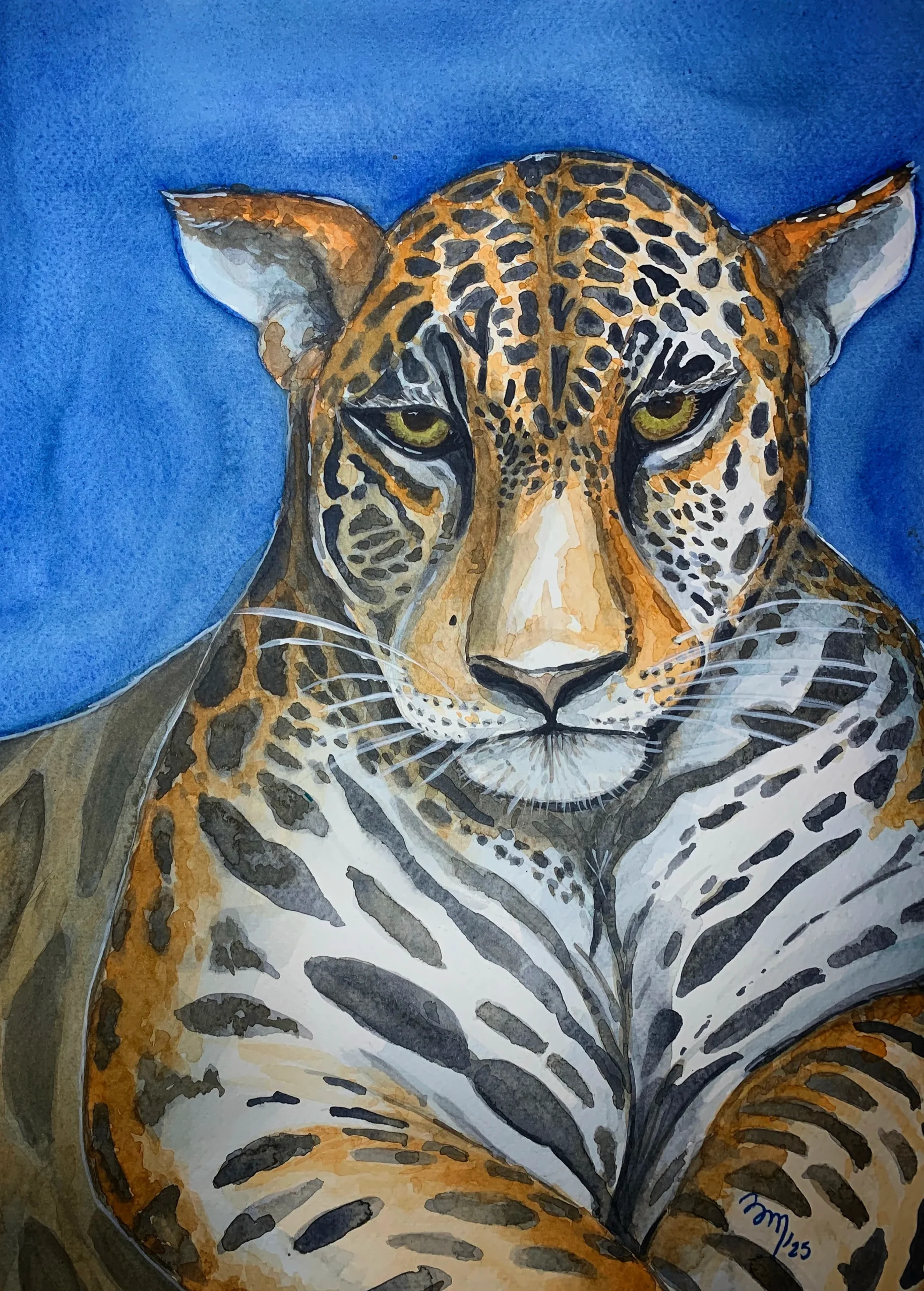 Jaguar-BRIMI 1_3_11zon
