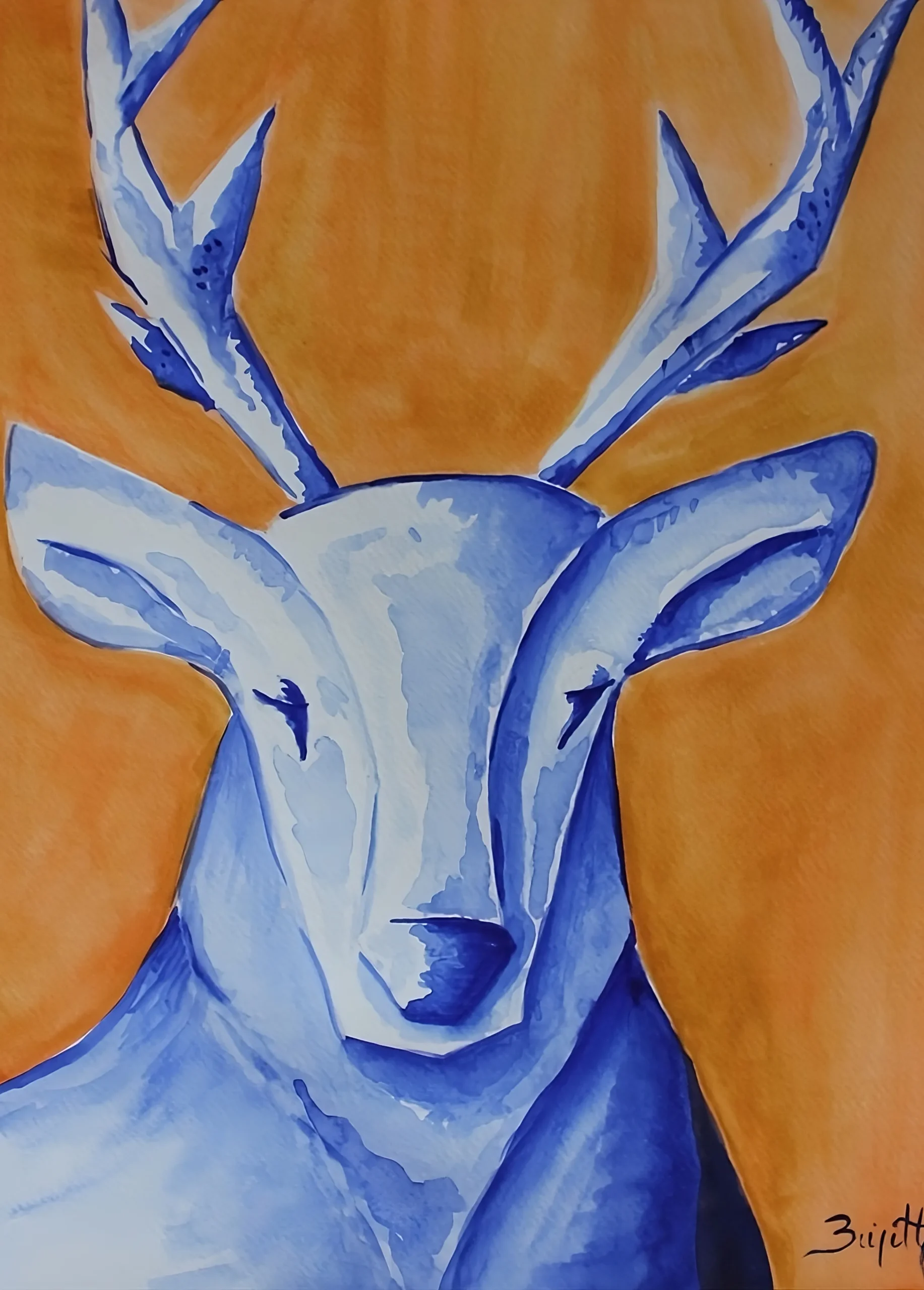 Venado+ 1_7_11zon
