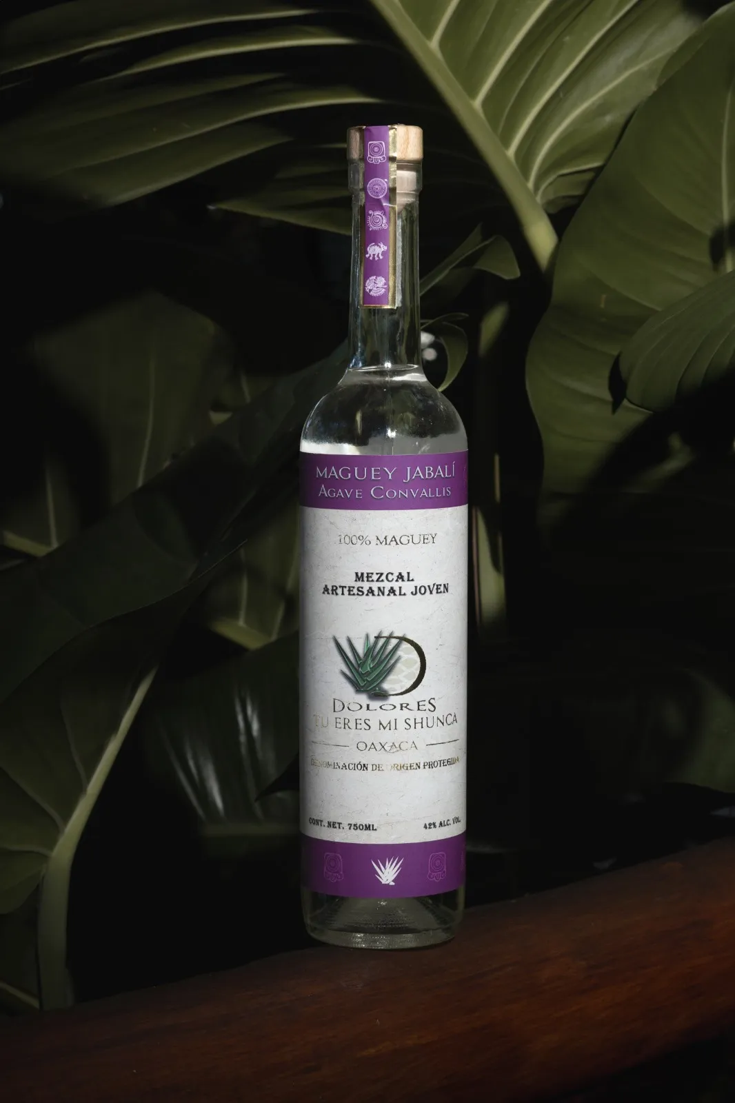mezcal 10_11zon