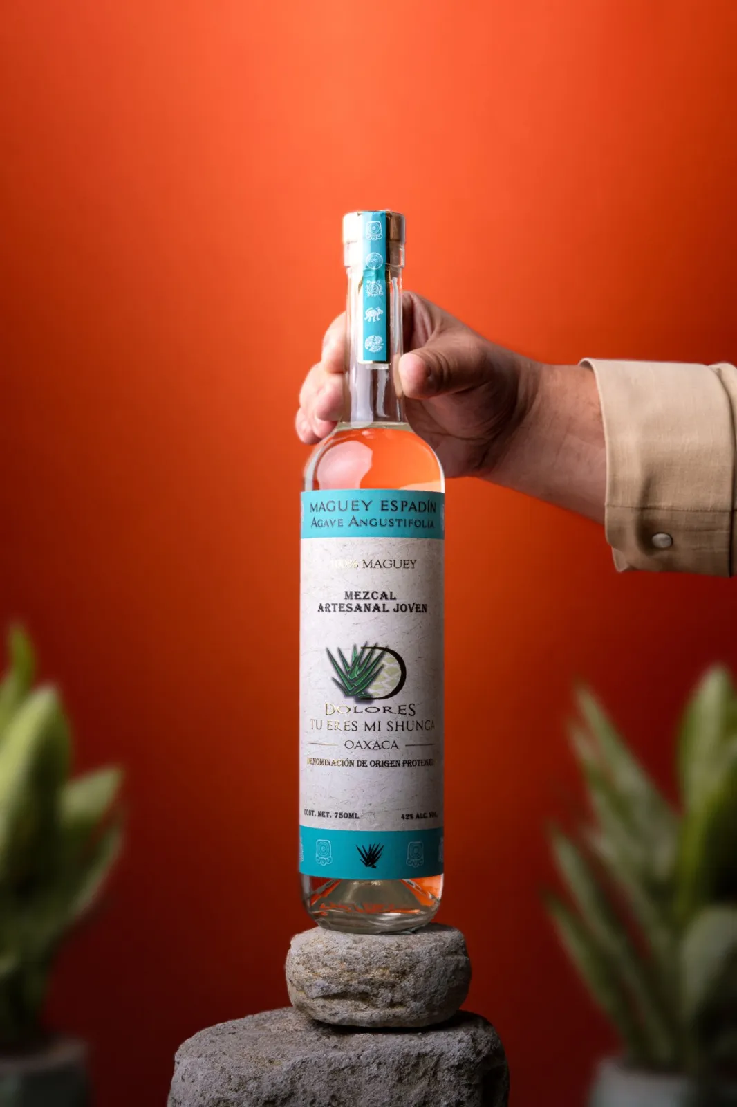 mezcal 11_11zon